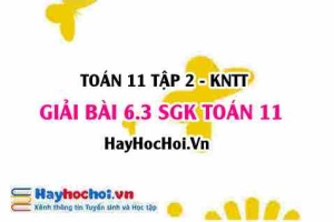 Bài 6.3 SGK Toán 11 Tập 2 Kết nối tri thức